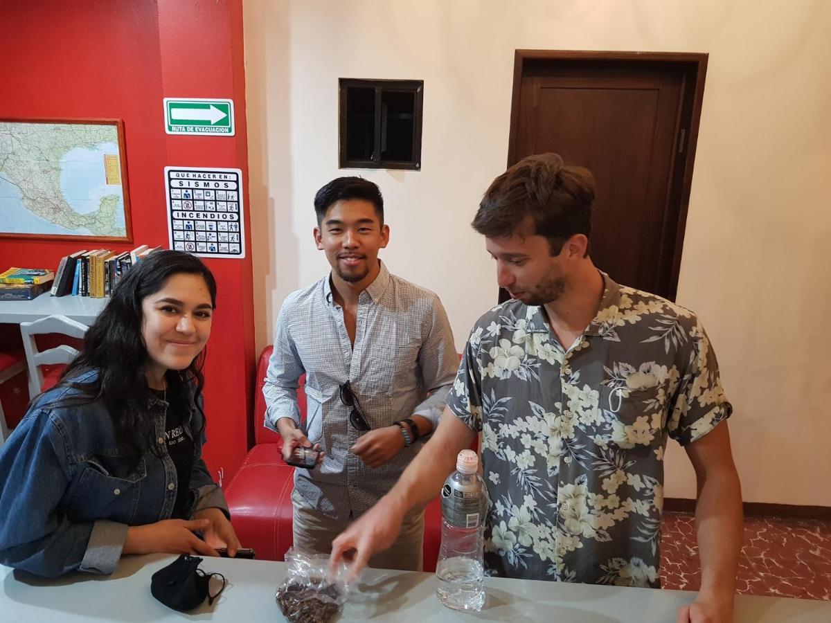 Hostal De Las Americas Oaxaca المظهر الخارجي الصورة