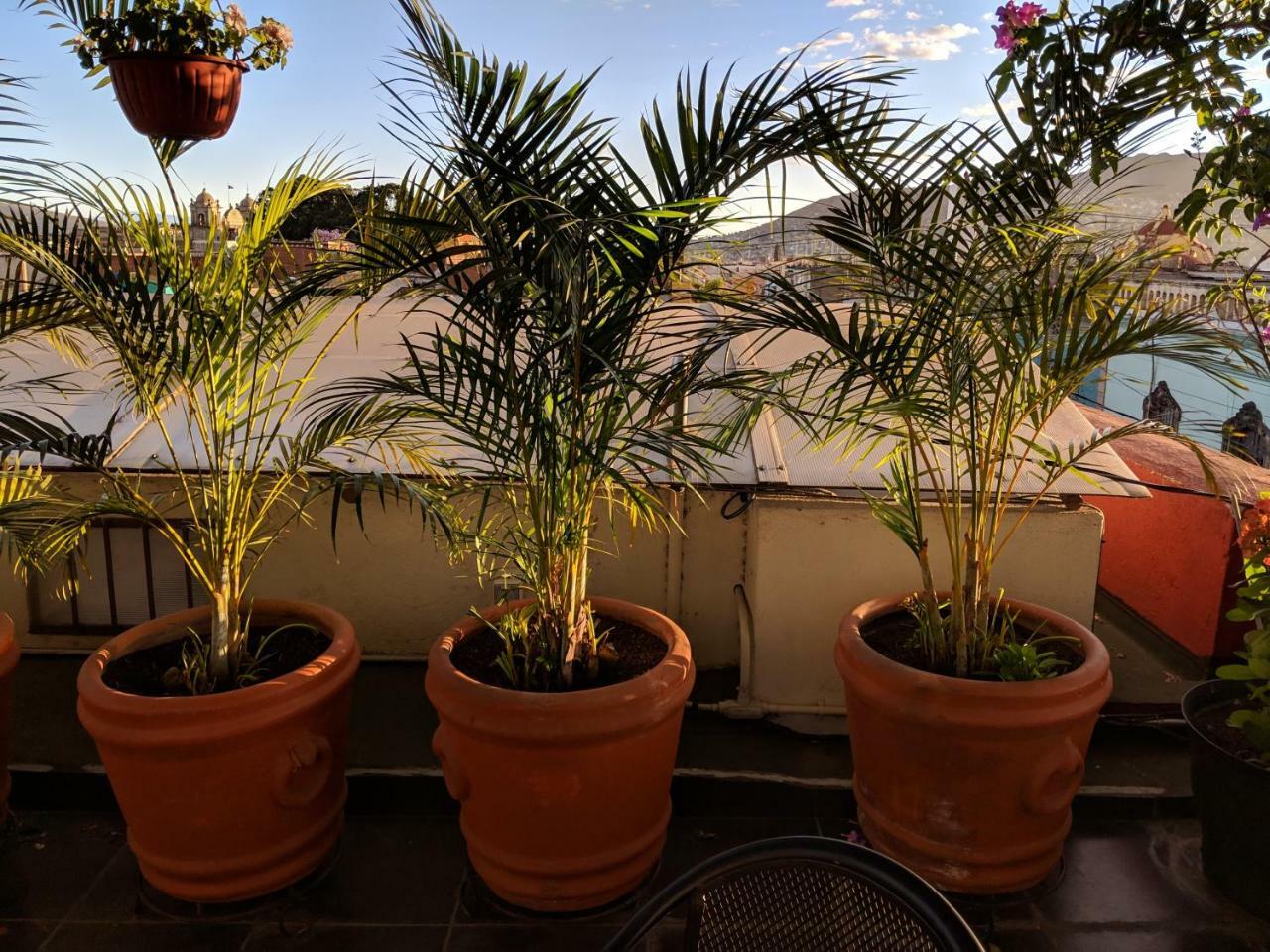 Hostal De Las Americas Oaxaca المظهر الخارجي الصورة